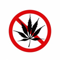 no-marijuana.jpg